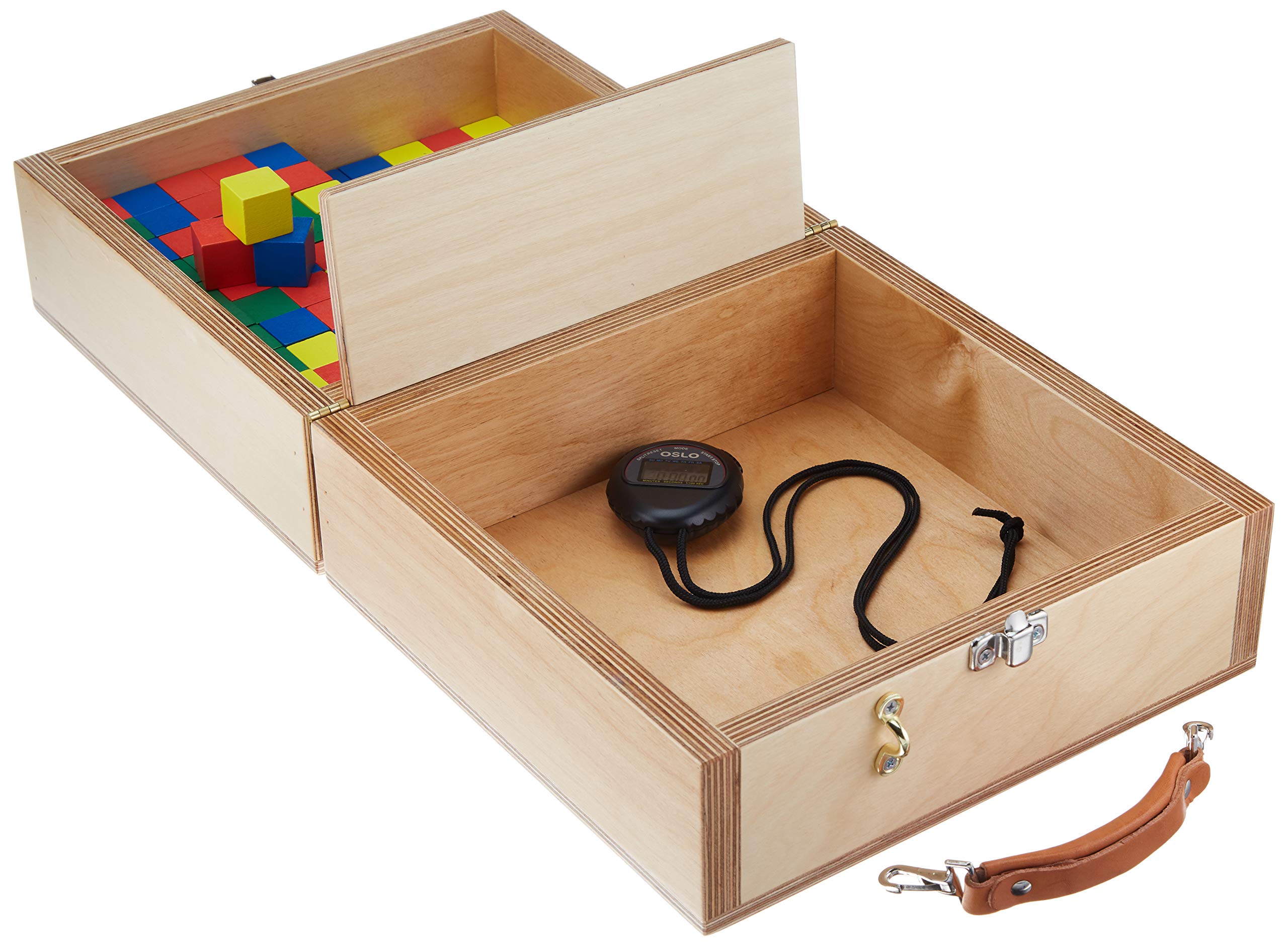 Sensory Motor