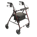ProBasics Aluminum Rollator with 6 inch Wheels-ProBasics-HeartWell Medical