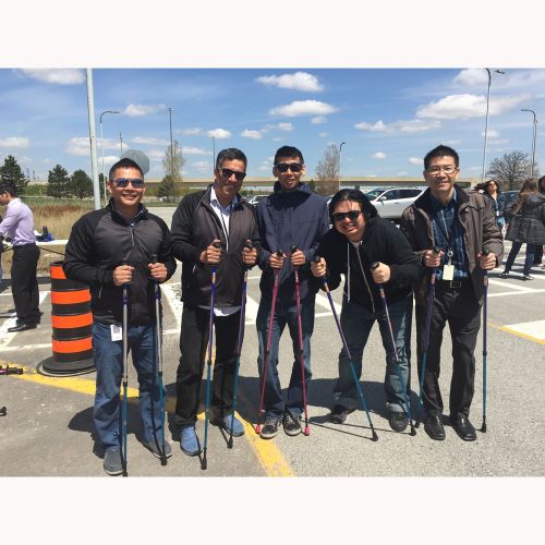 Urban Poling Series 300 Walking / Hiking / Trekking Poles-Urban Poling-HeartWell Medical