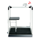 Seca Multi-Function Wheelchair and Handrail Scale-Seca-HeartWell Medical