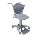 Rice Lake Digital Chair Scale 550-10-1-Rice Lake-HeartWell Medical