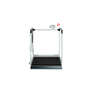 Seca Multi-Function Wheelchair and Handrail Scale-Seca-HeartWell Medical